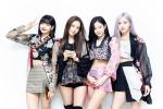 Dồn dập tin mới về BlackPink, nhà Blinks đã biết hết chưa?