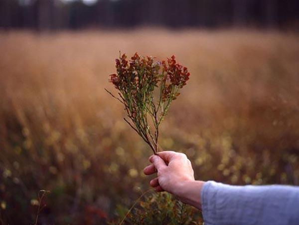 Tử vi thứ Tư ngày 29/7/2020 của 12 con giáp: Tý được khen ngợi, Dần công việc hanh thông-5