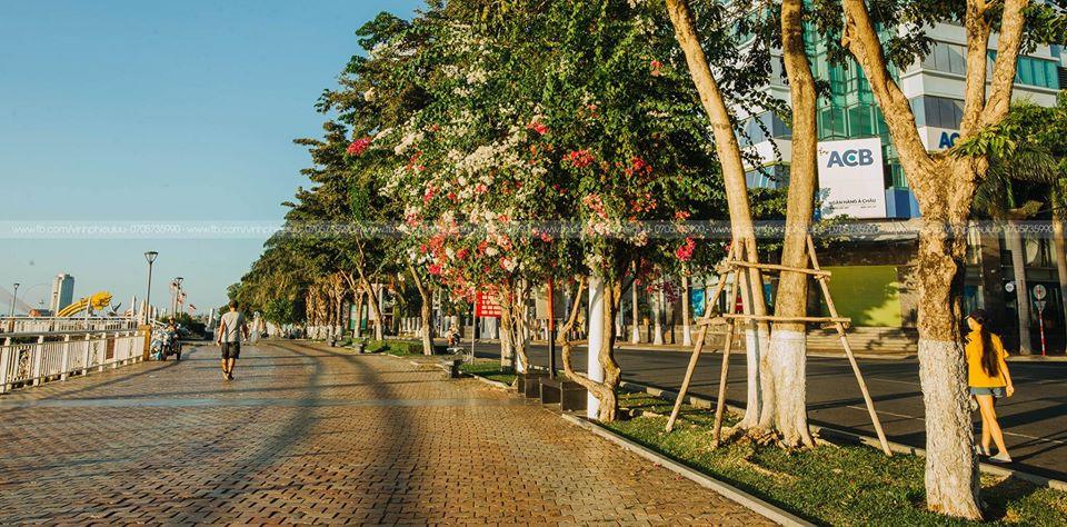 Tâm sự của 9X kẹt lại ở Đà Nẵng vì COVID-19: Biến cố này chỉ làm nhiều người thêm yêu mến nơi này’-5