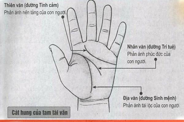 Tử vi thứ 5 ngày 30/7/2020 của 12 con giáp: Mùi cần chăm chỉ hơn, Dậu tiểu nhân hãm hại-7