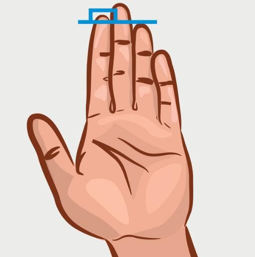 Bỏ 3 giây nhìn ngón tay đeo nhẫn, biết ngay bạn có phải người thành công hay không-1