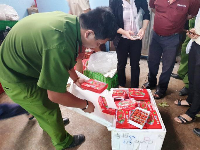 Kinh hoàng dâu tây Trung Quốc tuồn vào Đà Lạt, 22 ngày vẫn tươi roi rói-2