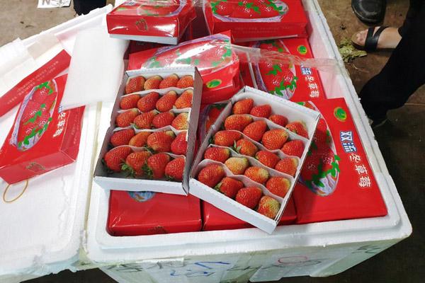 Du khách hủy hơn 16.000 phòng ở Đà Lạt-2