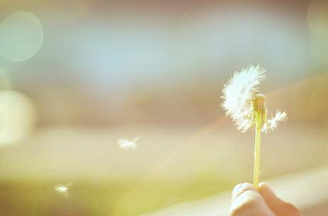 Tử vi thứ Sáu ngày 31/7/2020 của 12 con giáp: Sửu được khen ngợi, Thìn thua lỗ làm ăn-4