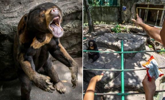 Thảo Cầm Viên bị tố bỏ đói động vật, dân mạng lên tiếng bảo vệ-1