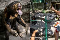 Thảo Cầm Viên bị tố bỏ đói động vật, dân mạng lên tiếng bảo vệ