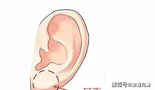 Kiểm tra xem bạn có sở hữu phúc tướng này không, nếu có thì khi nào mới giàu có thịnh vượng?-4