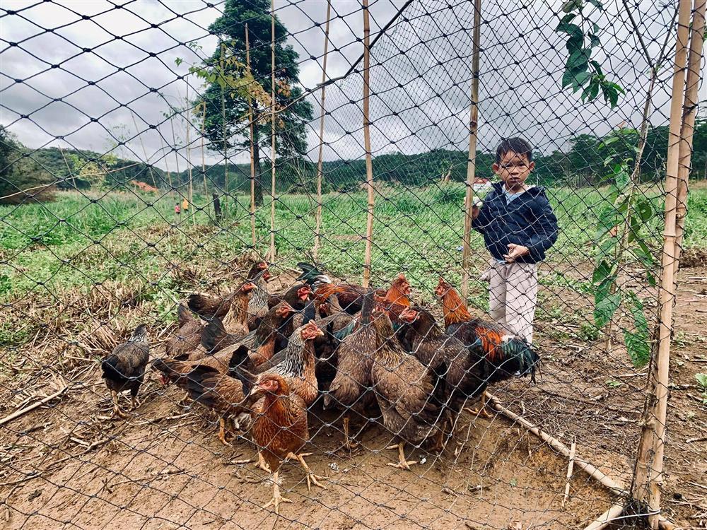 Trang trại lộng gió ở quê của gia đình Lý Hải - Minh Hà-1