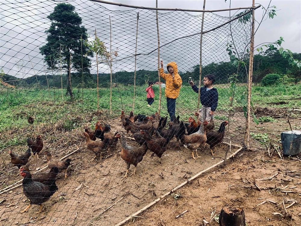 Trang trại lộng gió ở quê của gia đình Lý Hải - Minh Hà-5