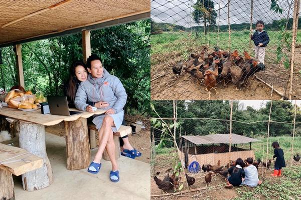 Choáng ngợp với miệt vườn thẳng cánh cò bay của dàn sao Việt-22