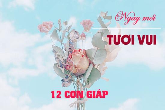 Tử vi thứ 2 ngày 3/8/2020 của 12 con giáp: Tý mọi sự khởi sắc, Mão cần nỗ lực hơn