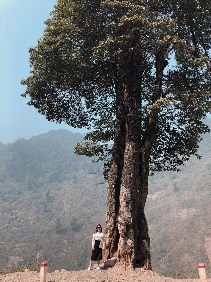 9X Vũng Tàu có hẹn chinh phục những cung đường đèo bất tận của Hà Giang-6