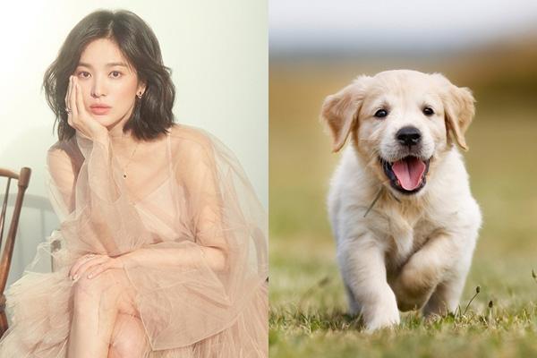 Đuổi không kịp với 3 con giáp may mắn đủ đường, tiền tiêu mãi không hết trong tuần mới-3