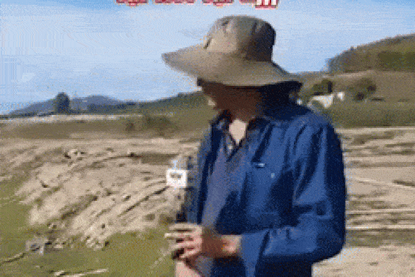 Loạt sự cố hài hước của dàn MC VTV khiến người trong cuộc cũng đỡ không nổi