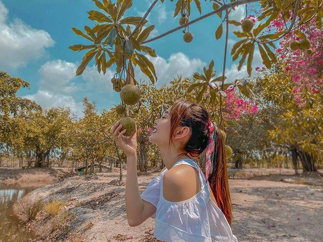 Choáng ngợp với miệt vườn thẳng cánh cò bay của dàn sao Việt-6