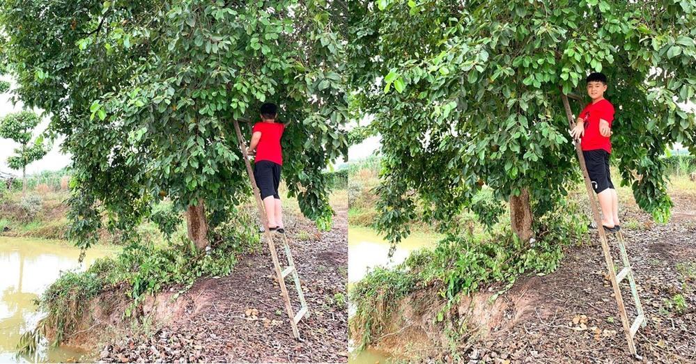 Choáng ngợp với miệt vườn thẳng cánh cò bay của dàn sao Việt-10