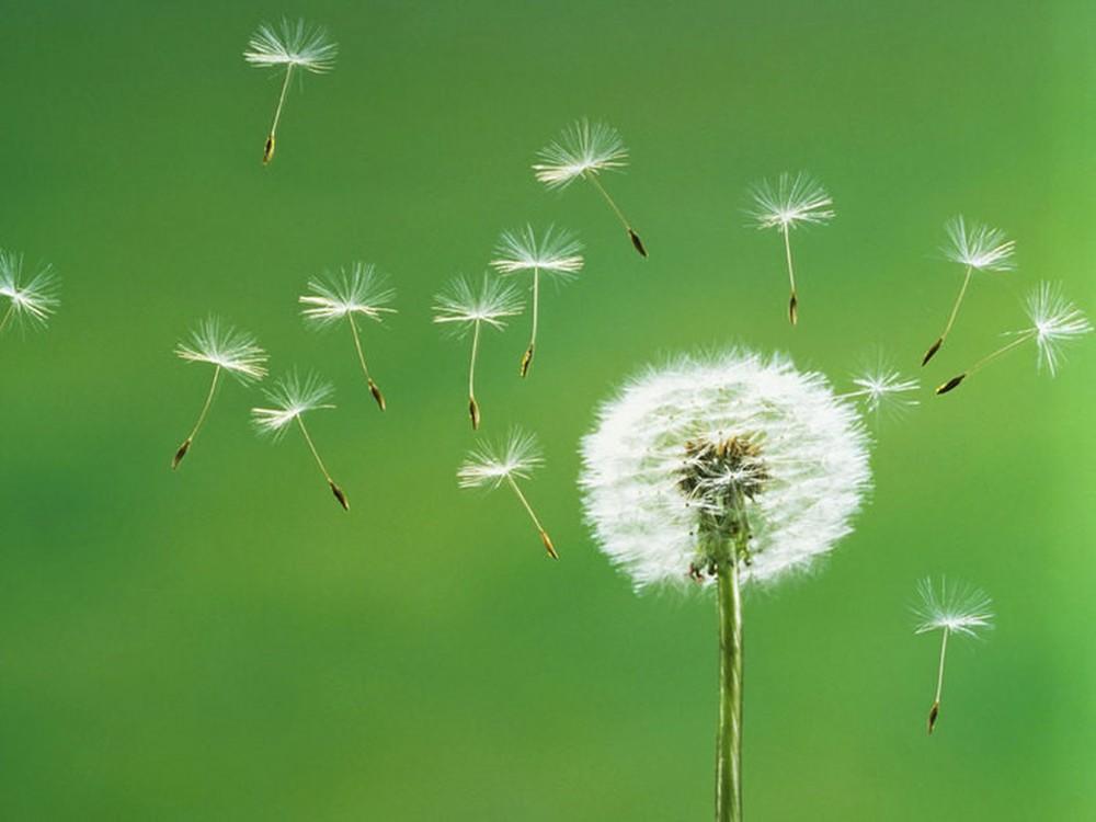 Vận may sẽ đến với con giáp này trong ngày thứ Tư 5/8/2020?-1