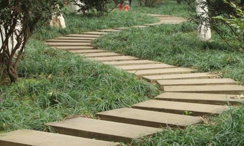 Con đường nào khó đi nhất? Câu trả lời tiết lộ bạn đang phải đối mặt với rắc rối nào-3