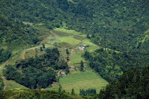 Con đường nào khó đi nhất? Câu trả lời tiết lộ bạn đang phải đối mặt với rắc rối nào-4