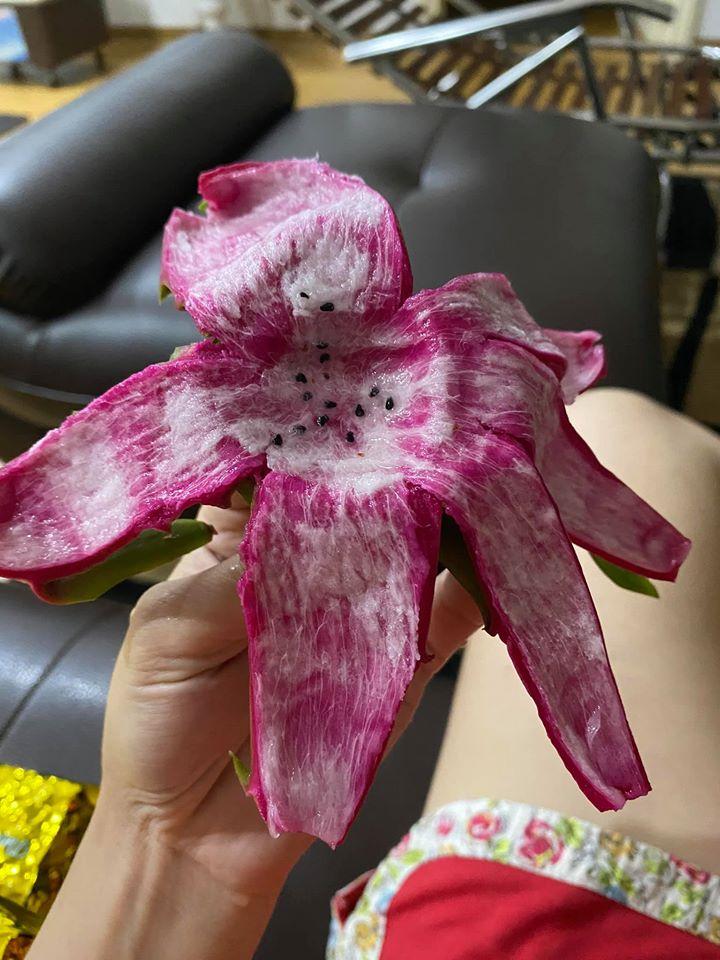 Phiên bản chuối thanh long hút nghìn like, nghĩ buồn cười mà lại hay không tưởng-5