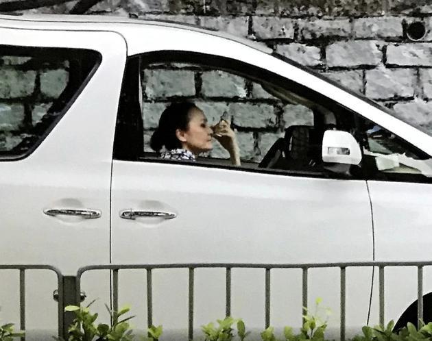 Mẹ Trương Bá Chi lái taxi kiếm tiền-2