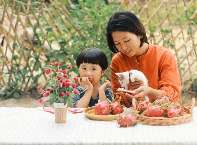 Nữ thiết kế bỏ Hà thành phố thị về quê xây ngôi nhà biển xanh, ngày ngày trồng rau nuôi cá-1