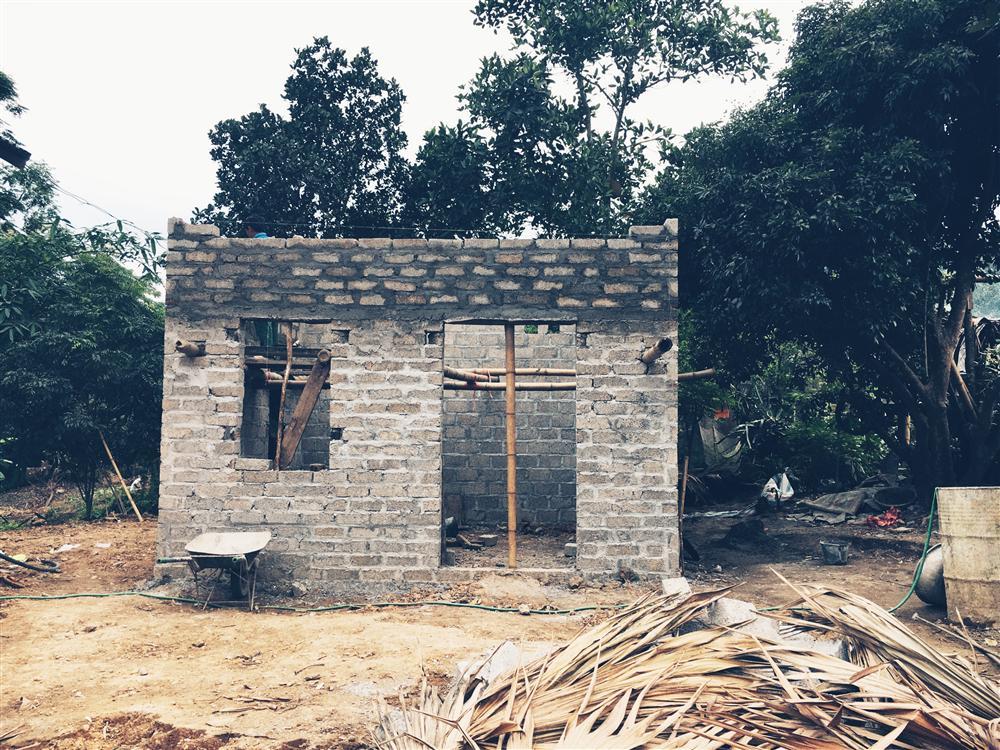 Nữ thiết kế bỏ Hà thành phố thị về quê xây ngôi nhà biển xanh, ngày ngày trồng rau nuôi cá-2