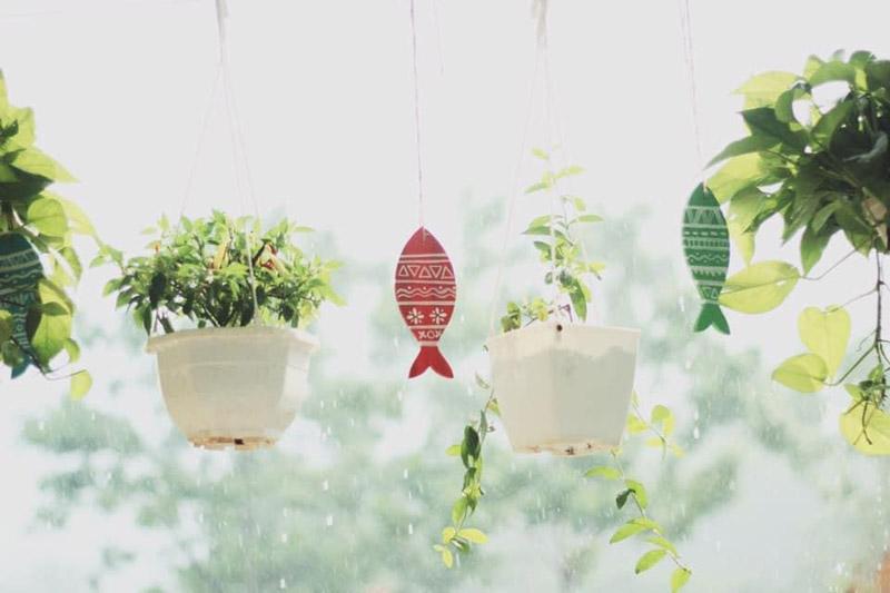 Nữ thiết kế bỏ Hà thành phố thị về quê xây ngôi nhà biển xanh, ngày ngày trồng rau nuôi cá-10