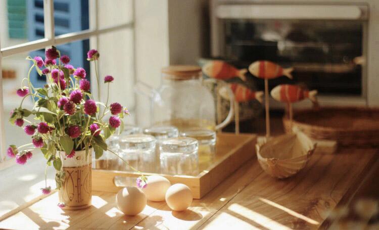 Nữ thiết kế bỏ Hà thành phố thị về quê xây ngôi nhà biển xanh, ngày ngày trồng rau nuôi cá-11