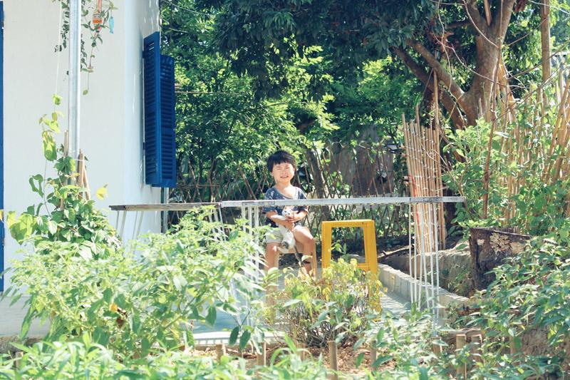 Nữ thiết kế bỏ Hà thành phố thị về quê xây ngôi nhà biển xanh, ngày ngày trồng rau nuôi cá-12