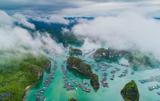 Hải Phòng đề nghị doanh nghiệp du lịch chia sẻ khó khăn do Covid-19-1