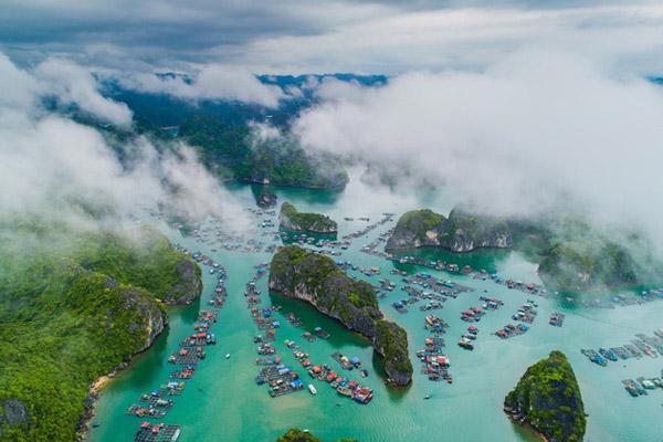 Đồ Sơn dừng lễ hội chọi trâu truyền thống vì dịch Covid-19-2