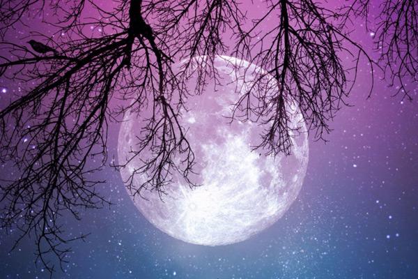 Trăng tròn Bảo Bình và những biến động, xáo trộn bất thường trong cuộc sống của 12 chòm sao 2 tuần tới-2