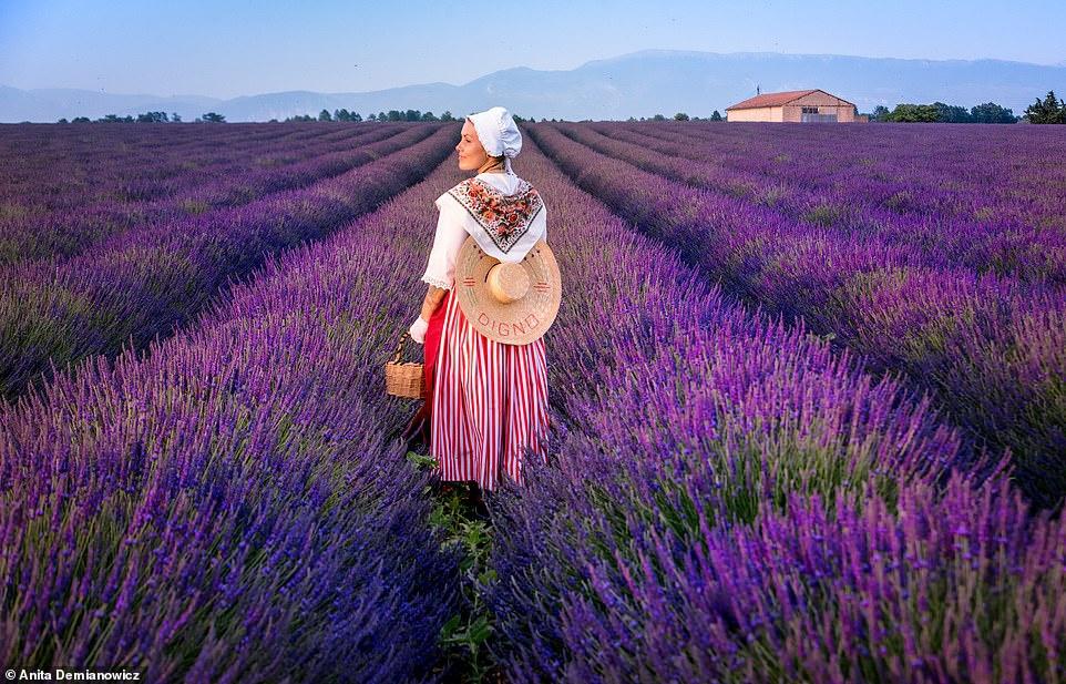 Anita trong trang phục truyền thống tại một cánh đồng hoa oải hương của Provence (Pháp). Cô chia sẻ: 