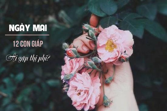 Có 3 con giáp chắc chắn 'hốt bạc' trong ngày 7/8/2020, liệu bạn có nằm trong số đó?