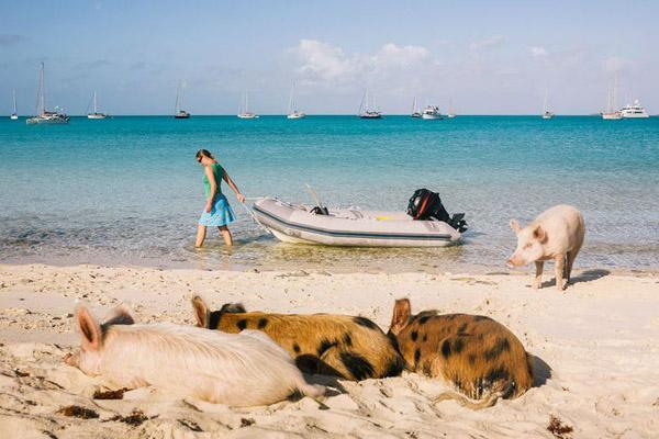 Bãi biển sở hữu 99% cát silic, nước xanh như pha lê-1