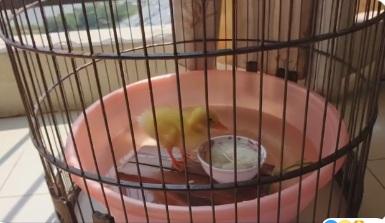 Mua rau củ quả chất đầy nhà rồi quên chế biến, các gái đảm nhận hậu quả khôn lường-8