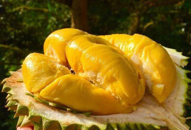 Nhồi máu cơ tim vì ăn sầu riêng và uống sữa: Những thực phẩm ăn với sầu riêng cực độc-4