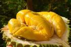 Nhồi máu cơ tim vì ăn sầu riêng và uống sữa: Những thực phẩm ăn với sầu riêng cực độc
