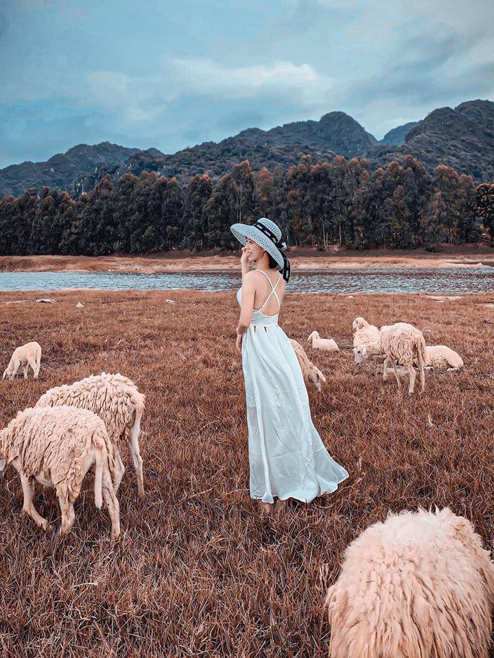 Nghìn góc sống ảo chỉ tốn có 50k đẹp như tranh ở đồng cừu Ninh Bình-1