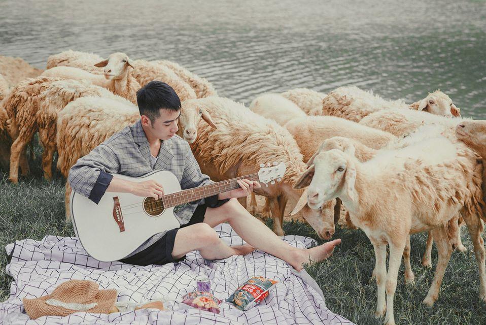 Nghìn góc sống ảo chỉ tốn có 50k đẹp như tranh ở đồng cừu Ninh Bình-3