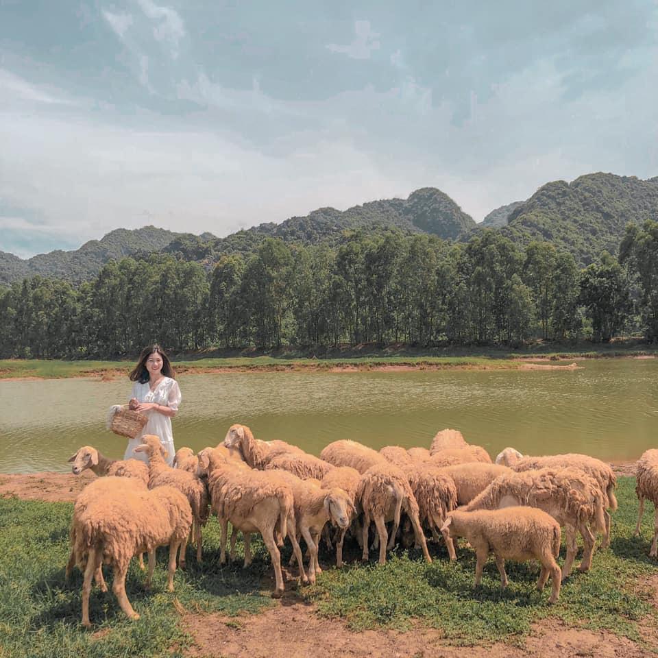 Nghìn góc sống ảo chỉ tốn có 50k đẹp như tranh ở đồng cừu Ninh Bình-6