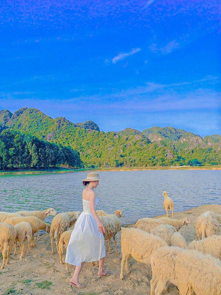 Nghìn góc sống ảo chỉ tốn có 50k đẹp như tranh ở đồng cừu Ninh Bình-7