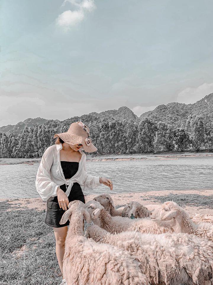 Nghìn góc sống ảo chỉ tốn có 50k đẹp như tranh ở đồng cừu Ninh Bình-8