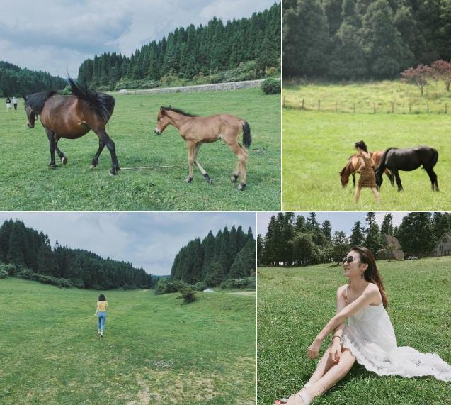 Đoạn đường nhấp nhô như lượn sóng ở Trung Quốc-3