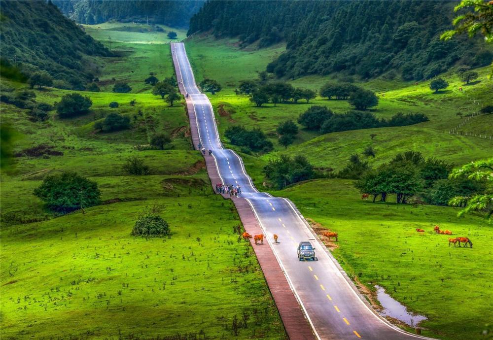 Đoạn đường nhấp nhô như lượn sóng ở Trung Quốc-4