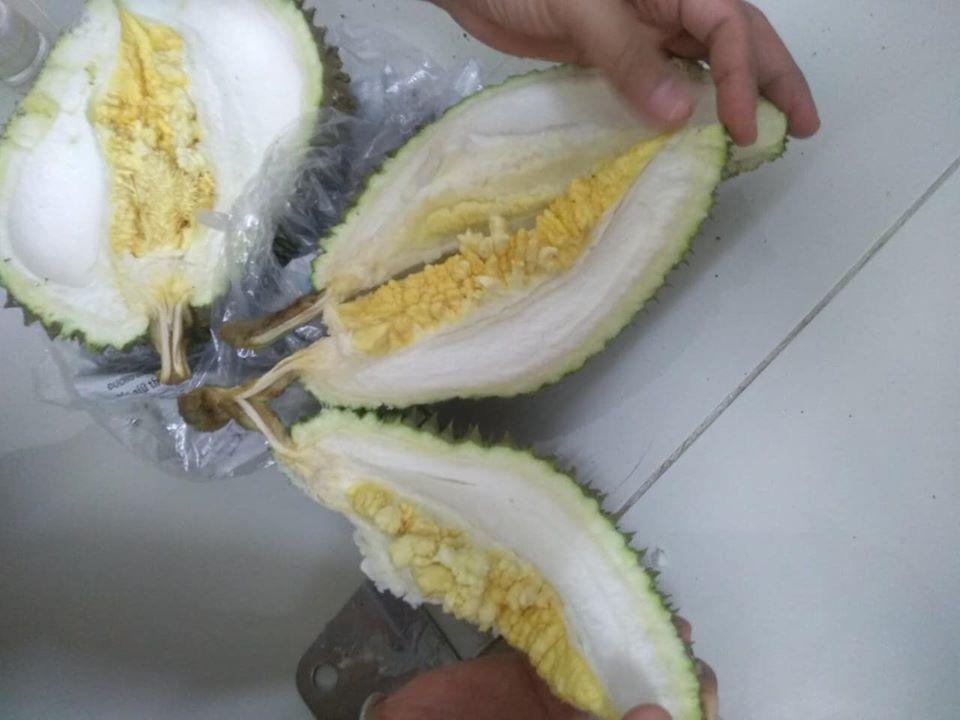 Tin lời người bán sầu riêng chuẩn xịn, của đống tiền mà bổ ra suýt ngất-3