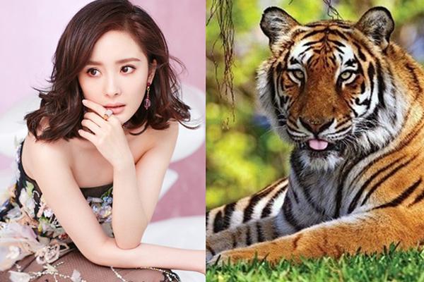 Dự đoán đường tình duyên chuẩn đét thông qua dáng đi-1