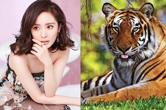 Những cô nàng dù giàu có, xinh đẹp cũng luôn 'kín cổng cao tường', đỉnh cao của sự chín chắn