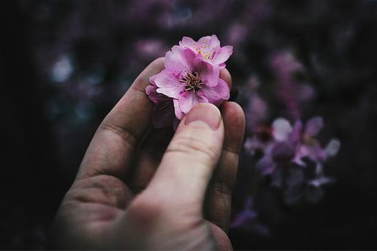 Thần tài chiếu cố, những con giáp 'vượt mặt bạn bè', vận may tới tấp trong ngày 13/8/2020